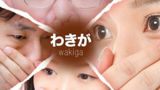 【画像】ワキガの原因である『アポクリン腺』がこちら →