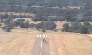 【動画】南アフリカの飛行場ではこれに気をつけろ！
