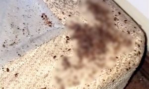 【動画】ベッドのシーツの下がこうなっていたら終わり。建物ごと焼き払おう。