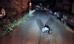 【動画】道路のど真ん中で寝ていたおっさんと遭遇するドラレコ。