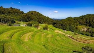 【悲報】千葉県の南部、ガチでヤバイ状態になってしまう・・・・・・・・