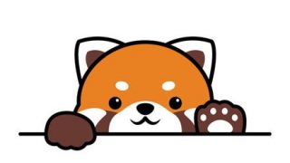 【グロ注意】レッサーパンダ同士の喧嘩、血なまぐさすぎる……