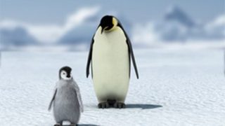 【画像】親ペンギンに放置された子ペンギンの末路