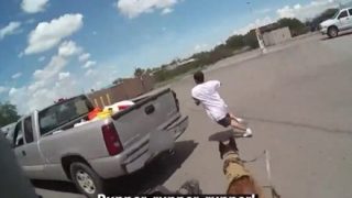 【射殺注意】追い詰められた強盗犯、警察犬に銃を向けた瞬間【動画像】