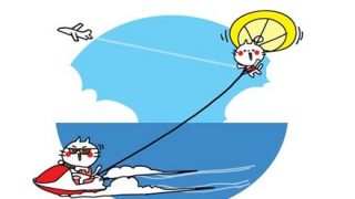 【動画】ま～んさん「待って！あたしもうやめる！」飛行中に安全ベルトを外して落下して無事死亡