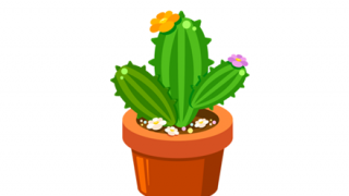 【画像】ダイソーで買った『サボテン』が１年たった結果