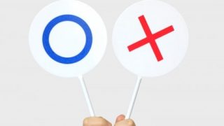 【動画像】賛否両論わかれる女、見つかる【→】