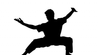 【衝撃動画】中国人のパンチ、速すぎて見えないwwww