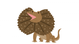 【動画】エリマキトカゲさん、からかわれて激おこｗｗｗｗｗｗｗ