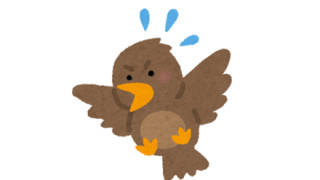 【衝撃突然】無数の鳥が空から落下、一斉に大量死する動画が恐ろしい