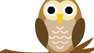 【動画】野生フクロウさん、間違えて一瞬キモチ良くなる