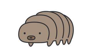 【朗報】クマムシが歩く姿トコトコかわよｗ