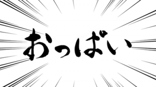 【画像】「私のオッパイはここにあります！」