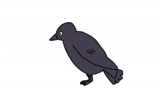 【動画】襲われる高校生、都会のカラス怖すぎる・・・