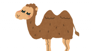 【GIf動画】ラクダさん、速すぎるｗｗｗｗｗｗｗｗｗｗ