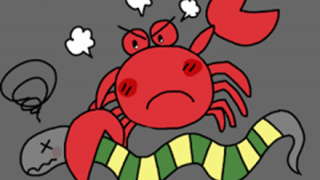 【動画】ヘビさん、🦀に襲い掛かるも一方的に敗北ｗｗｗｗｗｗｗｗ