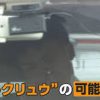 【動画像】闇バイトで捕まった２０歳男がヤバすぎる・・・