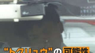 【動画像】闇バイトで捕まった２０歳男がヤバすぎる・・・