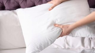 『枕カバーは何日で洗うのか問題』　2週間？1カ月？ 女子アナ「色が変わったら」「寝る時って、頭洗ってるからきれい」