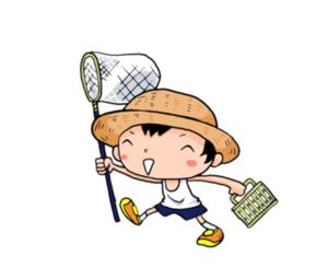 【画像】これカニだと思うじゃん?蜘蛛なんだぜ・・・
