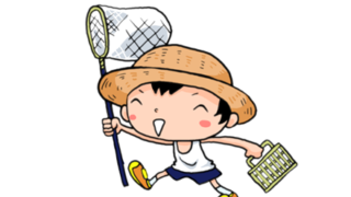 【画像】これカニだと思うじゃん?蜘蛛なんだぜ・・・