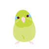 【笑撃】インコが笑わせにくるｗｗｗｗｗｗW