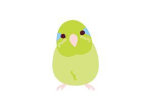 【笑撃】インコが笑わせにくるwwwwwwW