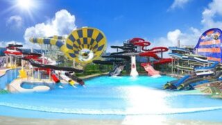 【😍】若い娘の肌が水を弾く証拠動画