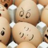 【実験】２つの卵に「バカ」「ありがとう」と書いて放置した結果 →